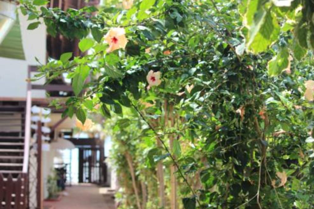 Pousada Parador 081 Pôrto das Galinhas Exterior foto